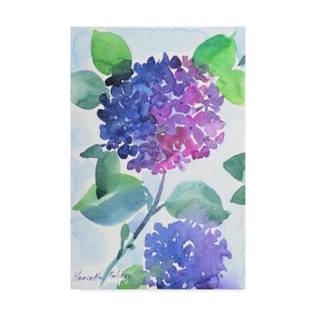 Trademark Fine Art Marietta Cohen Art And Design 'Watercolor Hortensia 1' Canvas Art, 16x24 ALI43179-C1624GG